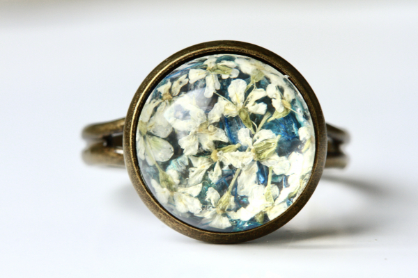 Ring gepresste Blüten Dillblüte Kornblüte